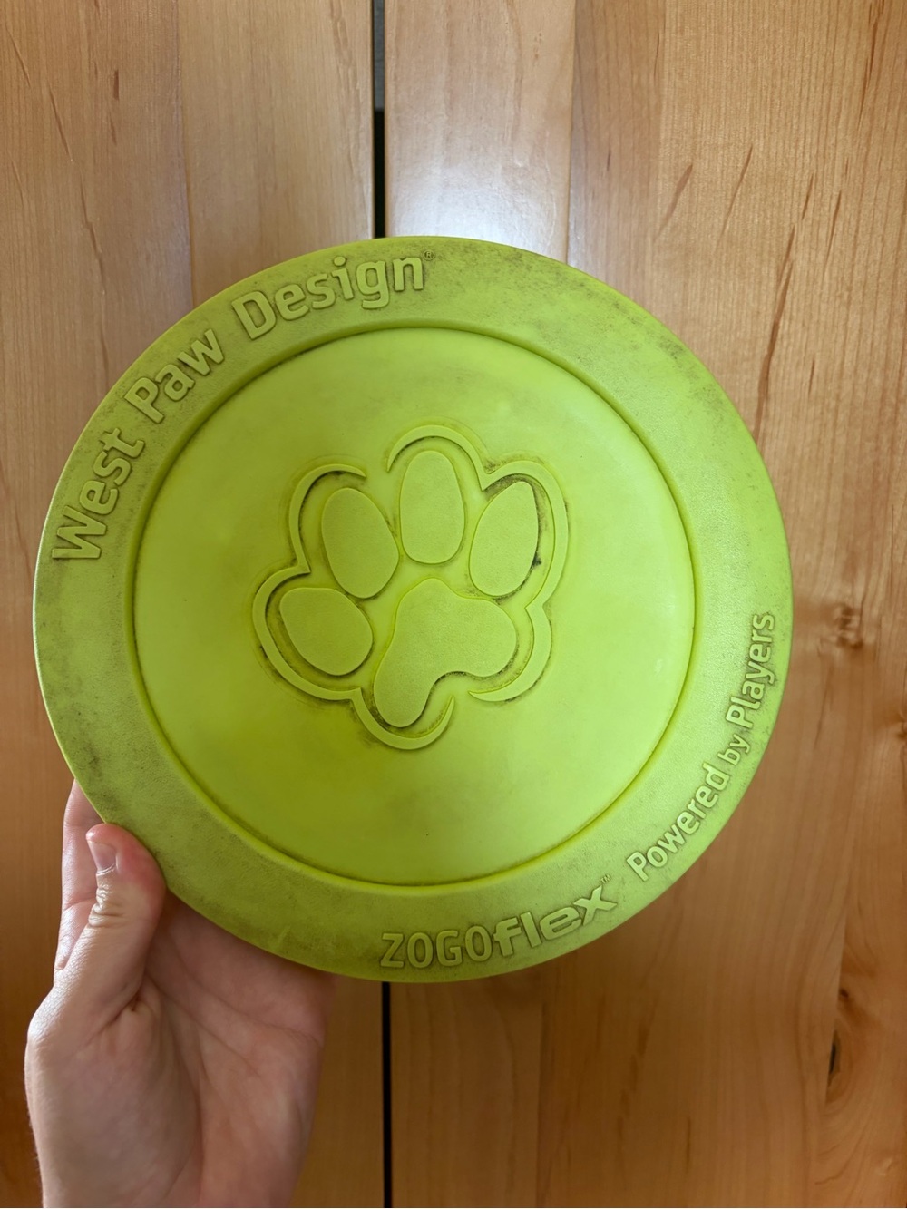 West Paw Design zogoflex green dog frisbee